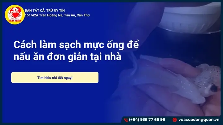 Hướng Dẫn Chi Tiết Cách Sơ Chế Mực Ống Nhỏ Chuẩn Ngon, Không Bị Tanh Hướng Dẫn Chi Tiết Cách Sơ Chế Mực Ống Nhỏ Chuẩn Ngon, Không Bị Tanh