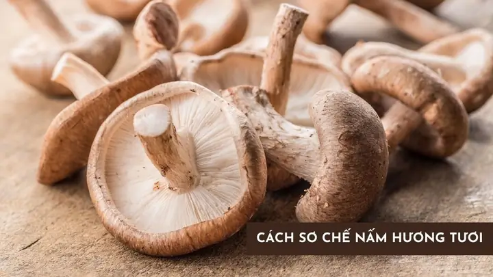 Hướng Dẫn Sơ Chế Nấm Hương Tươi Đúng Cách Để Giữ Nguyên Hương Vị