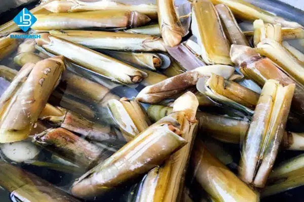 Hướng Dẫn Chi Tiết Cách Sơ Chế Ốc Móng Tay Sạch Bong, Không Còn Nhớt Và Đất Cát