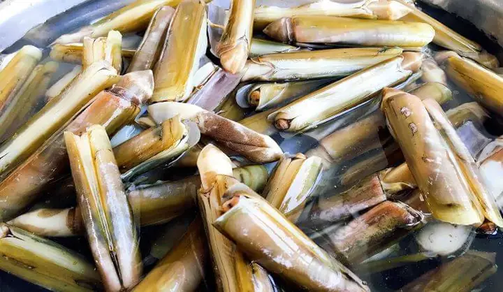 Hướng Dẫn Chi Tiết Cách Sơ Chế Ốc Móng Tay Sạch Bong, Không Còn Nhớt Và Đất Cát