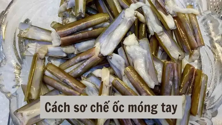 Hướng Dẫn Chi Tiết Cách Sơ Chế Ốc Móng Tay Sạch Bong, Không Còn Nhớt Và Đất Cát