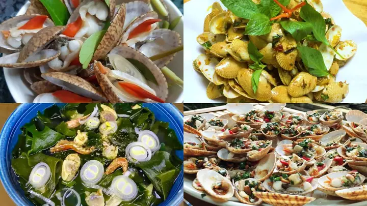 Sò Lụa Làm Món Gì Ngon? 15+ Cách Chế Biến Đơn Giản, Hấp Dẫn Tại Nhà