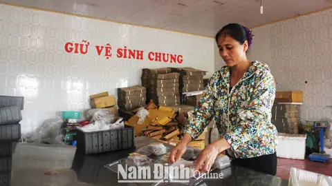 Review Sứa Ăn Liền Vạn Hoa: Có Thực Sự Ngon Như Lời Đồn?