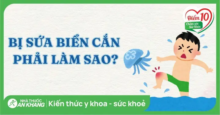 Sứa Biển Làm Gì Ăn? Khám Phá Vị Giác Kỳ Diệu Và 10 Món Ngon Dễ Làm