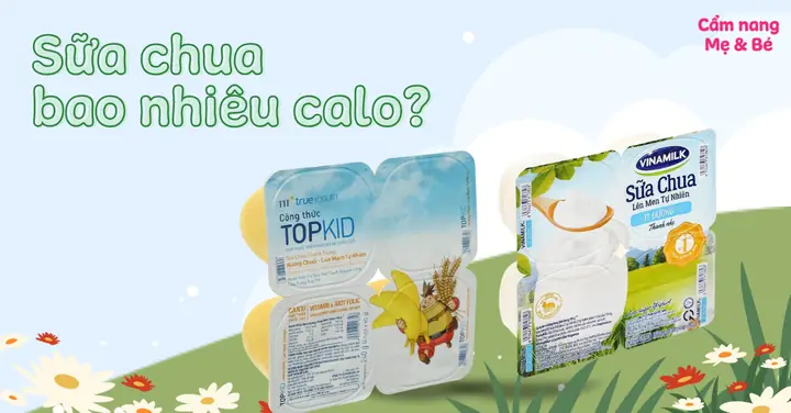 Sữa Chua Hoa Quả Bao Nhiêu Calo? Giải Mã Thành Phần Dinh Dưỡng Và Bí Quyết Lựa Chọn Thông Minh Sữa Chua Hoa Quả Bao Nhiêu Calo? Giải Mã Thành Phần Dinh Dưỡng Và Bí Quyết Lựa Chọn Thông Minh