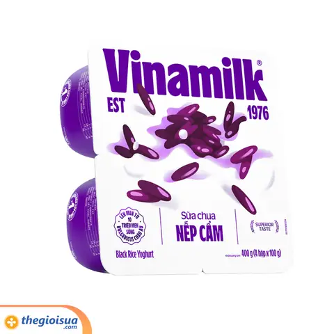 Top 5 Địa Điểm Thưởng Thức Sữa Chua Nếp Cẩm Huế Ngon Nhất Định Phải Thử
