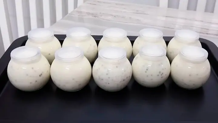 Sữa Chua Và Hạt Chia: Lợi Ích, Tác Hại Và Cách Dùng Đúng Để Phát Huy Tối Đa Hiệu Quả