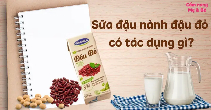 Sữa Đậu Đỏ Có Tác Dụng Gì? 10+ Lợi Ích Bất Ngờ Cho Sức Khỏe