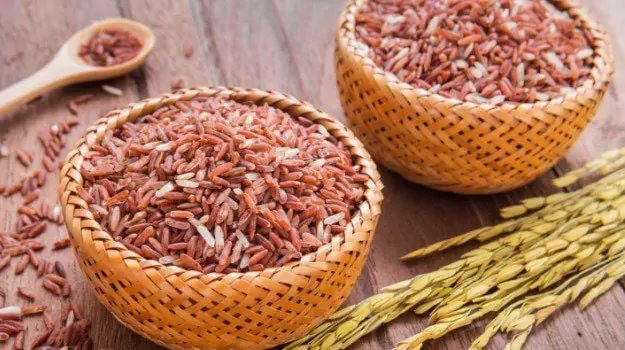 Sữa Gạo Lứt Có Tác Dụng Gì? Lợi Ích, Cách Dùng Và Những Lưu Ý Quan Trọng