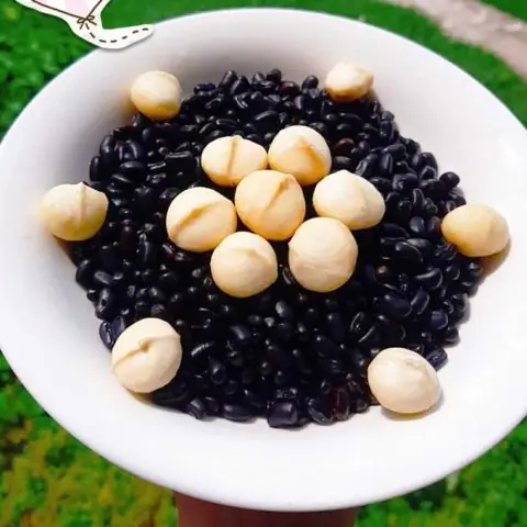 Review Sữa Hạt Macca Đậu Đen: Đánh Giá Chi Tiết 5 Thương Hiệu Nổi Bật