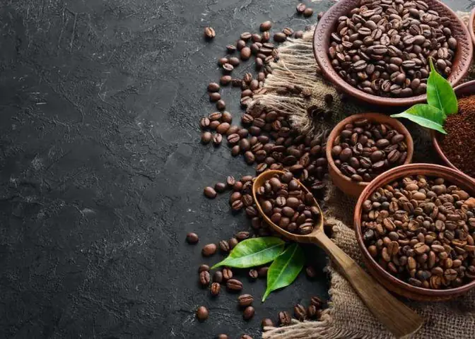 Review Top 5 Sữa Tươi Tốt Nhất Thế Giới: Đánh Giá Chi Tiết Từ Chuyên Gia Review Top 5 Sữa Tươi Tốt Nhất Thế Giới: Đánh Giá Chi Tiết Từ Chuyên Gia