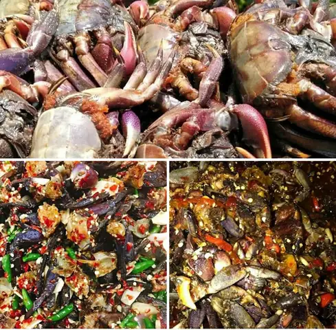 Súng Ba Khía: Khái Niệm, Cấu Tạo, Phân Loại Và Ứng Dụng Trong Thực Tế Súng Ba Khía: Khái Niệm, Cấu Tạo, Phân Loại Và Ứng Dụng Trong Thực Tế