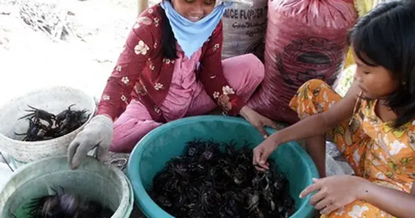 Súng Ba Khía: Khái Niệm, Cấu Tạo, Phân Loại Và Ứng Dụng Trong Thực Tế Súng Ba Khía: Khái Niệm, Cấu Tạo, Phân Loại Và Ứng Dụng Trong Thực Tế