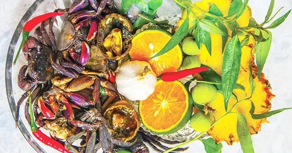 Súng Ba Khía: Khái Niệm, Cấu Tạo, Phân Loại Và Ứng Dụng Trong Thực Tế Súng Ba Khía: Khái Niệm, Cấu Tạo, Phân Loại Và Ứng Dụng Trong Thực Tế