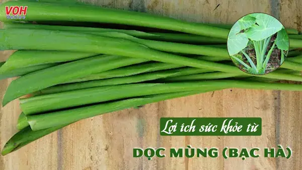Tác Dụng Của Cây Bạc Hà Khi Nấu Canh Chua: Khám Phá Hương Vị Và Lợi Ích Sức Khỏe