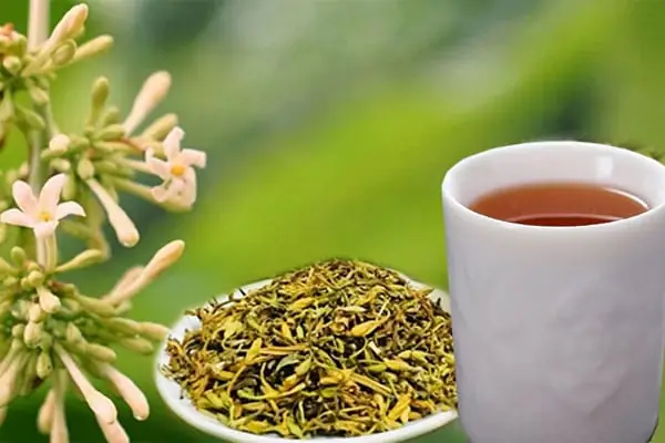 Tác Dụng Của Hoa Đu Đủ Đực Hấp Mật Ong: Những Lợi Ích Sức Khỏe Ít Ai Ngờ Tác Dụng Của Hoa Đu Đủ Đực Hấp Mật Ong: Những Lợi Ích Sức Khỏe Ít Ai Ngờ