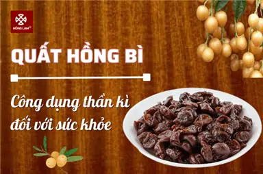 Khám Phá Chi Tiết Tác Dụng Của Quất Hồng Bì Trong Cuộc Sống