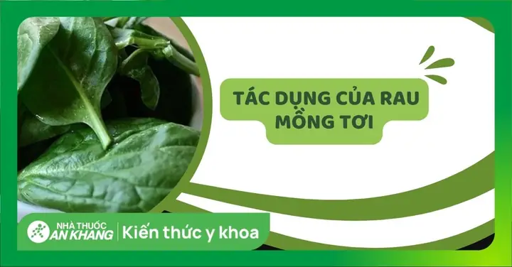 Tác Dụng Của Rau Dền Mung Tốt Cho Sức Khỏe