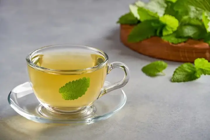 Tác Dụng Của Rau Húng Lủi: 10 Lợi Ích Sức Khỏe Tuyệt Vời Và Cách Dùng Hiệu Quả