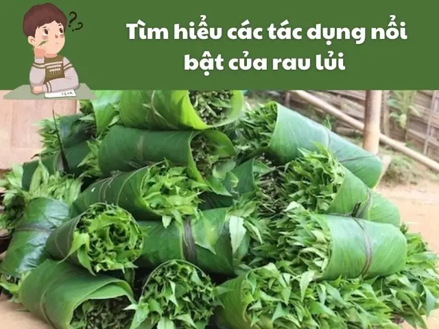 Tác Dụng Của Rau Lủi: Giải Pháp Xanh Cho Sức Khỏe Tim Mạch Và Xương Khớp