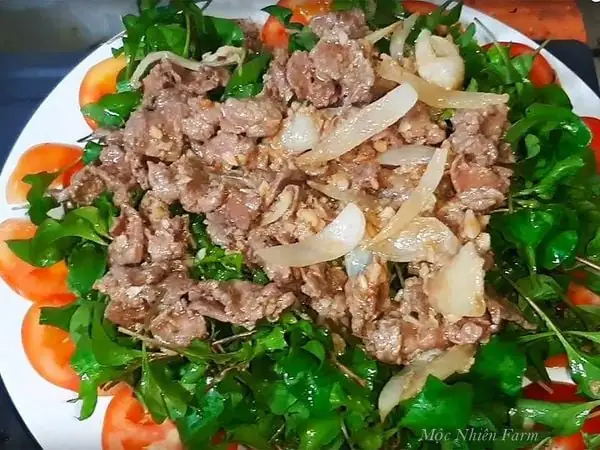 Tác Dụng Của Xà Lách Xoong Nhật
