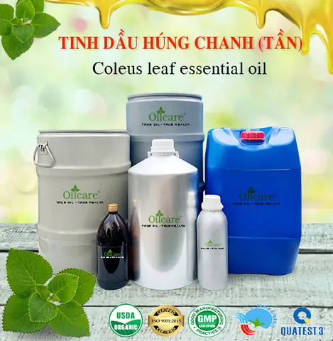 Top 5 Địa Chỉ Bán Tần Dày Lá Uy Tín, Chất Lượng Nhất Thị Trường
