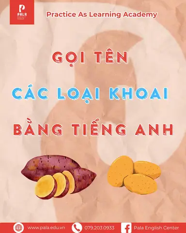 Các Loại Khoai Lang Phổ Biến Ở Việt Nam: Phân Loại, Đặc Điểm Và Công Dụng