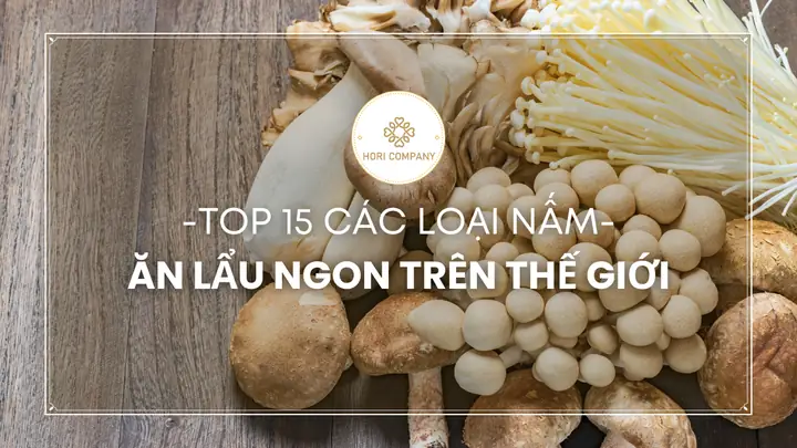 Các Loại Nấm Ăn Lẩu Phổ Biến Và Thơm Ngon Nhất Hiện Nay