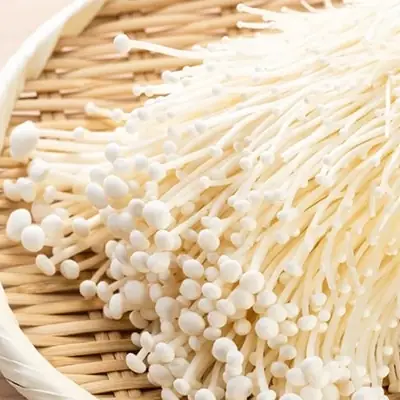 Các Loại Nấm Ăn Lẩu Phổ Biến Và Thơm Ngon Nhất Hiện Nay