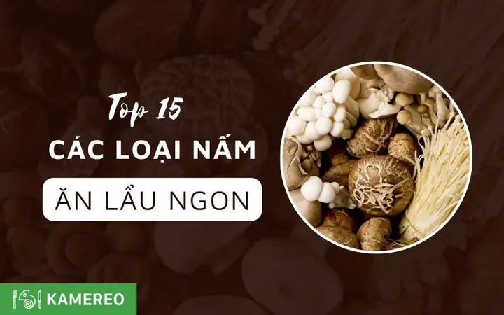 Các Loại Nấm Ăn Lẩu Phổ Biến Và Thơm Ngon Nhất Hiện Nay