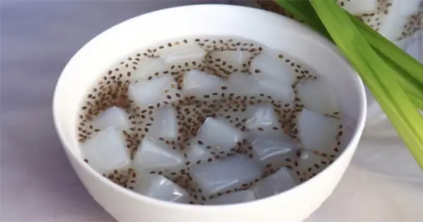 Thạch Dừa Thô Làm Từ Gì? Giải Mã Thành Phần Và Quy Trình Tạo Ra "thần Dược" Từ Dừa