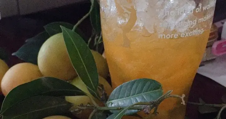 Thanh Trà Làm Món Gì Ngon? 15+ Món Ăn Độc Đáo Từ Quả Thanh Trà
