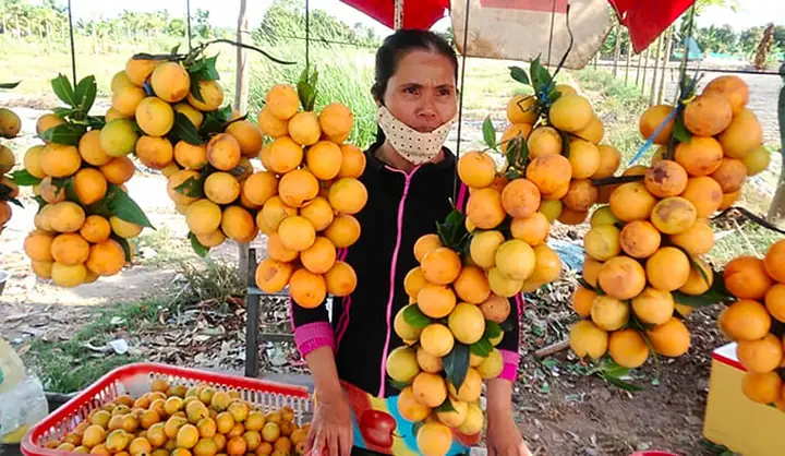 Thanh Trà Làm Món Gì Ngon? 15+ Món Ăn Độc Đáo Từ Quả Thanh Trà