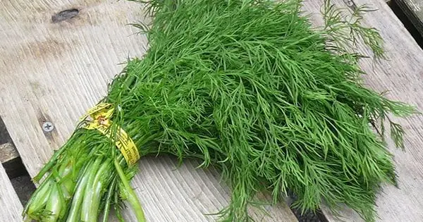 Phân Biệt Thì Là Hay Thìa Là: Cách Nhận Biết Và Sử Dụng Đúng Trong Mọi Tình Huống