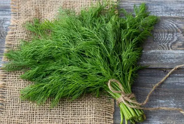 Phân Biệt Thì Là Hay Thìa Là: Cách Nhận Biết Và Sử Dụng Đúng Trong Mọi Tình Huống
