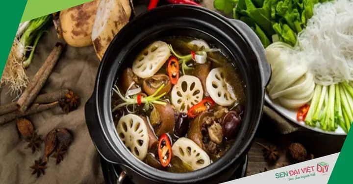 Cách Nấu Thịt Bò Hầm Củ Sen Thơm Ngon, Bổ Dưỡng, Đơn Giản Tại Nhà Cách Nấu Thịt Bò Hầm Củ Sen Thơm Ngon, Bổ Dưỡng, Đơn Giản Tại Nhà