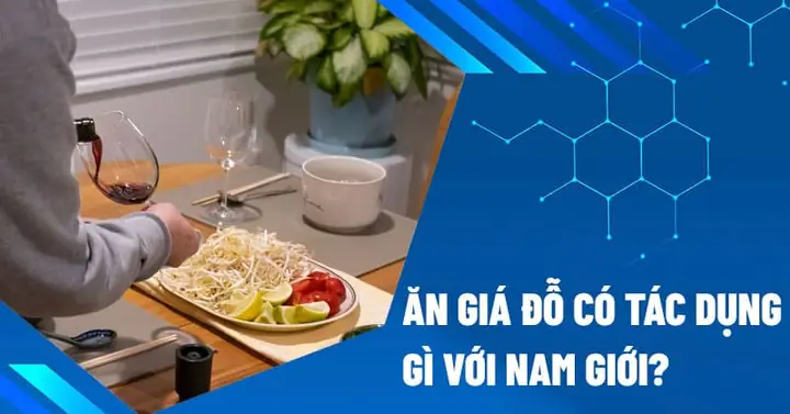 Thịt Bò Xào Giá Đỗ Có Tác Dụng Gì? Lợi Ích Dinh Dưỡng Và Những Lưu Ý Quan Trọng Thịt Bò Xào Giá Đỗ Có Tác Dụng Gì? Lợi Ích Dinh Dưỡng Và Những Lưu Ý Quan Trọng