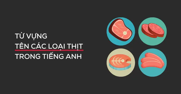 Thịt Chuột Tiếng Anh Là Gì?