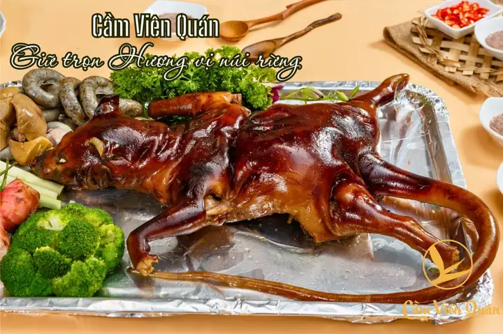 Thịt Dúi Làm Món Gì Ngon? Khám Phá 7+ Cách Chế Biến Đặc Sản Từ Thịt Dúi