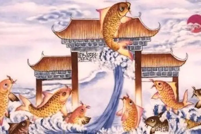 Review Chi Tiết Thịt Gà Cá Chép Ba Ba: Giá Bao Nhiêu? Mua Ở Đâu Uy Tín?