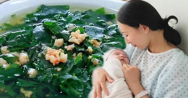 Cách Nấu Thịt Rang Cho Bà Đẻ Thơm Ngon, Bổ Dưỡng, Hồi Phục Sức Khỏe Nhanh