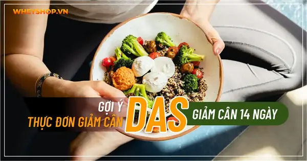 Đèn Xanh Das: Lợi Ích, Ứng Dụng Và Các Cập Nhật Mới Nhất Về Công Nghệ Ánh Sáng Xanh
