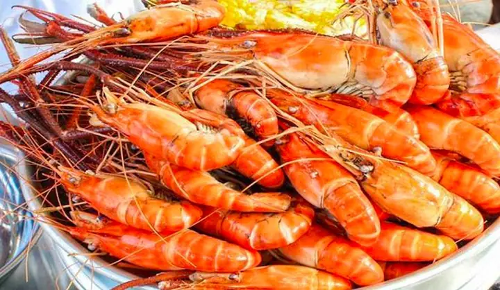 Tôm Ăn Với Cà Chua Được Không? Câu Trả Lời Chính Xác Từ Góc Độ Khoa Học Và Ẩm Thực