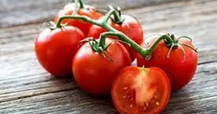 Tôm Ăn Với Cà Chua Được Không? Câu Trả Lời Chính Xác Từ Góc Độ Khoa Học Và Ẩm Thực