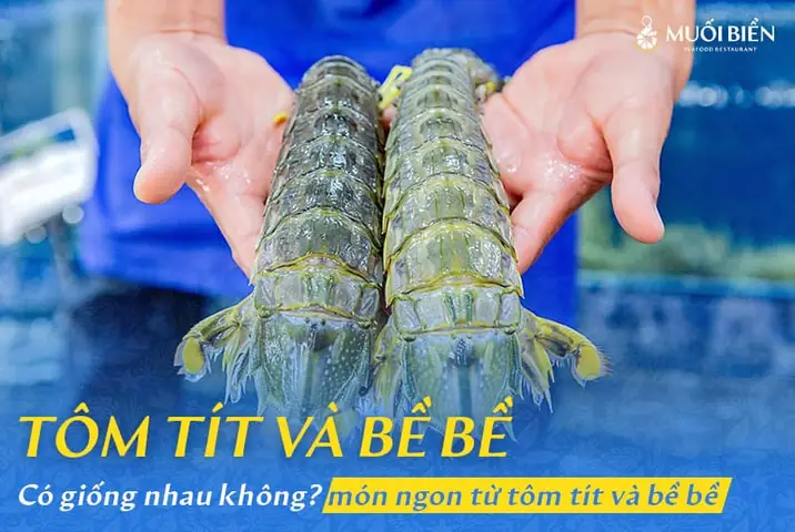 So Sánh Tôm Tít Và Bề Bề: Đâu Là Lựa Chọn Tốt Nhất Cho Bữa Ăn Gia Đình?