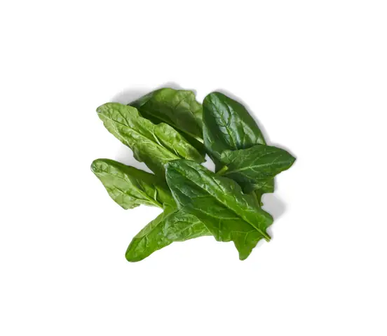 Công Thức Torta Salata Spinaci Semplice Và Lành Mạnh Không Cần Ricotta Công Thức Torta Salata Spinaci Semplice Và Lành Mạnh Không Cần Ricotta