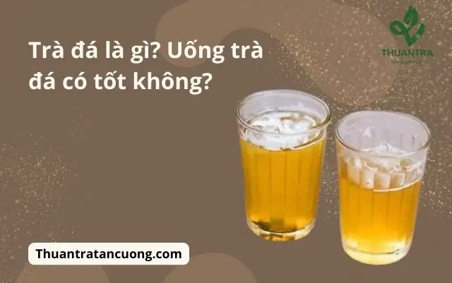Khám Phá Các Loại Trà Dùng Để Pha Trà Đá Ngon Chuẩn Vị