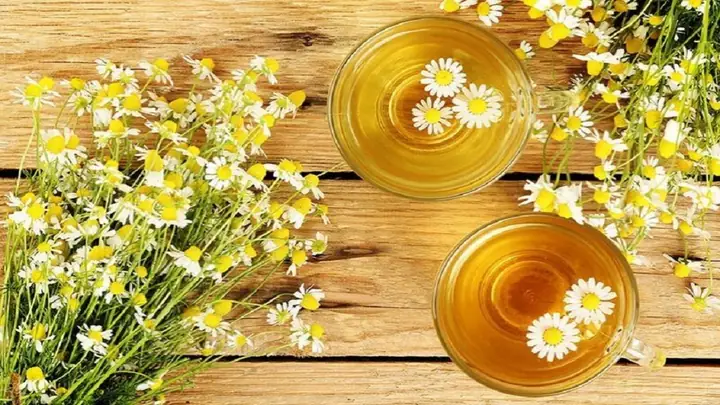 Uống Trà Hoa Cúc Mật Ong Có Tác Dụng Gì? Lợi Ích Và Cách Dùng Chuẩn Nhất