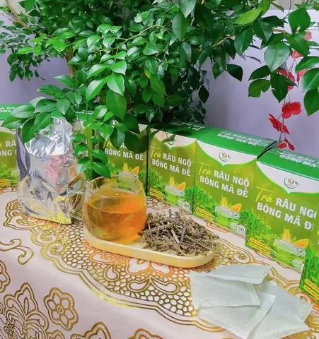 Trà Râu Ngô Bông Mã Đề: Công Dụng, Cách Dùng Và Những Lưu Ý Quan Trọng Trà Râu Ngô Bông Mã Đề: Công Dụng, Cách Dùng Và Những Lưu Ý Quan Trọng