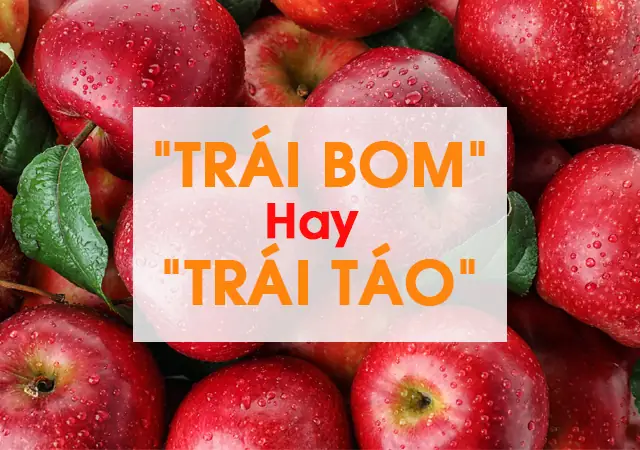So Sánh Chi Tiết Trái Bơm Và Trái Táo: Giá Trị Dinh Dưỡng, Công Dụng Và Cách Dùng